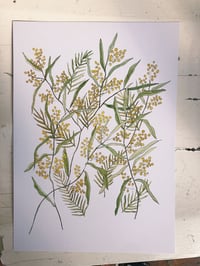 Image 2 of 'Wattle Love'