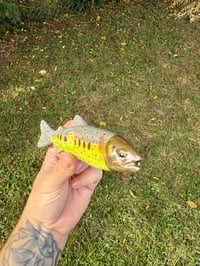 Image 3 of Pre order Cutthroat Trout 