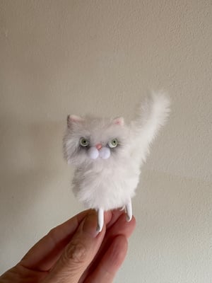 Image of Bitty Fluffy Cat In White