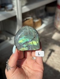 Image 12 of CHOOSE YOUR OWN SMALL LABRADORITE FREEFORM -MADAGASCAR-
