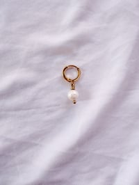 Image 1 of Créole Energie LA JOIE