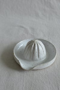 Image 18 of Citrus Juicer