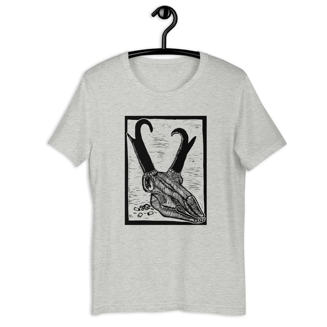 Growler Valley Pronghorn Skull