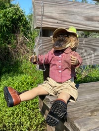 Image 2 of Willie Gatorson 