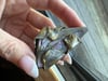 60s massive art spoon ring with abalone 