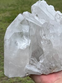 Image 6 of Clear Quartz Crystal Points Cluster Statement Piece #323