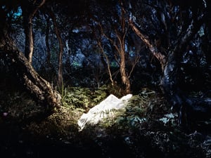 Image of Darker 'Untitled 14' by Andrew Goldie