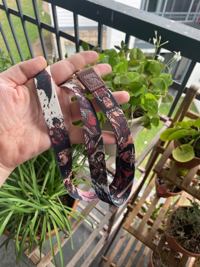 Dragon Age Lanyard