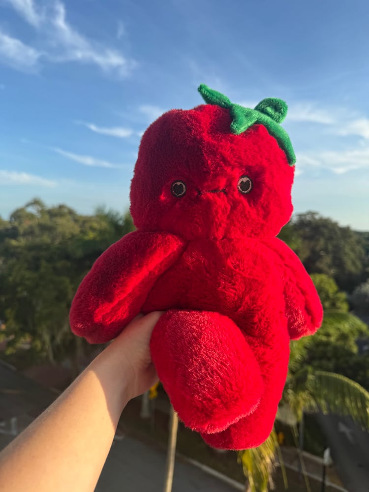 Image of Beefsteak Tometo