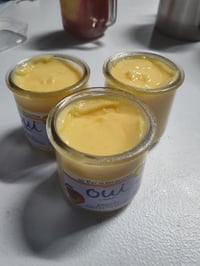 Image 6 of Yogurt Inspired Scoopable Wax Melts