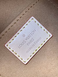 Image 5 of LV Just-Incase