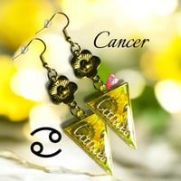 Cancer Zodiac Sign Earrings 