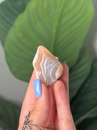 Image 1 of TUMBLED AGATE #45 -MALAWI-