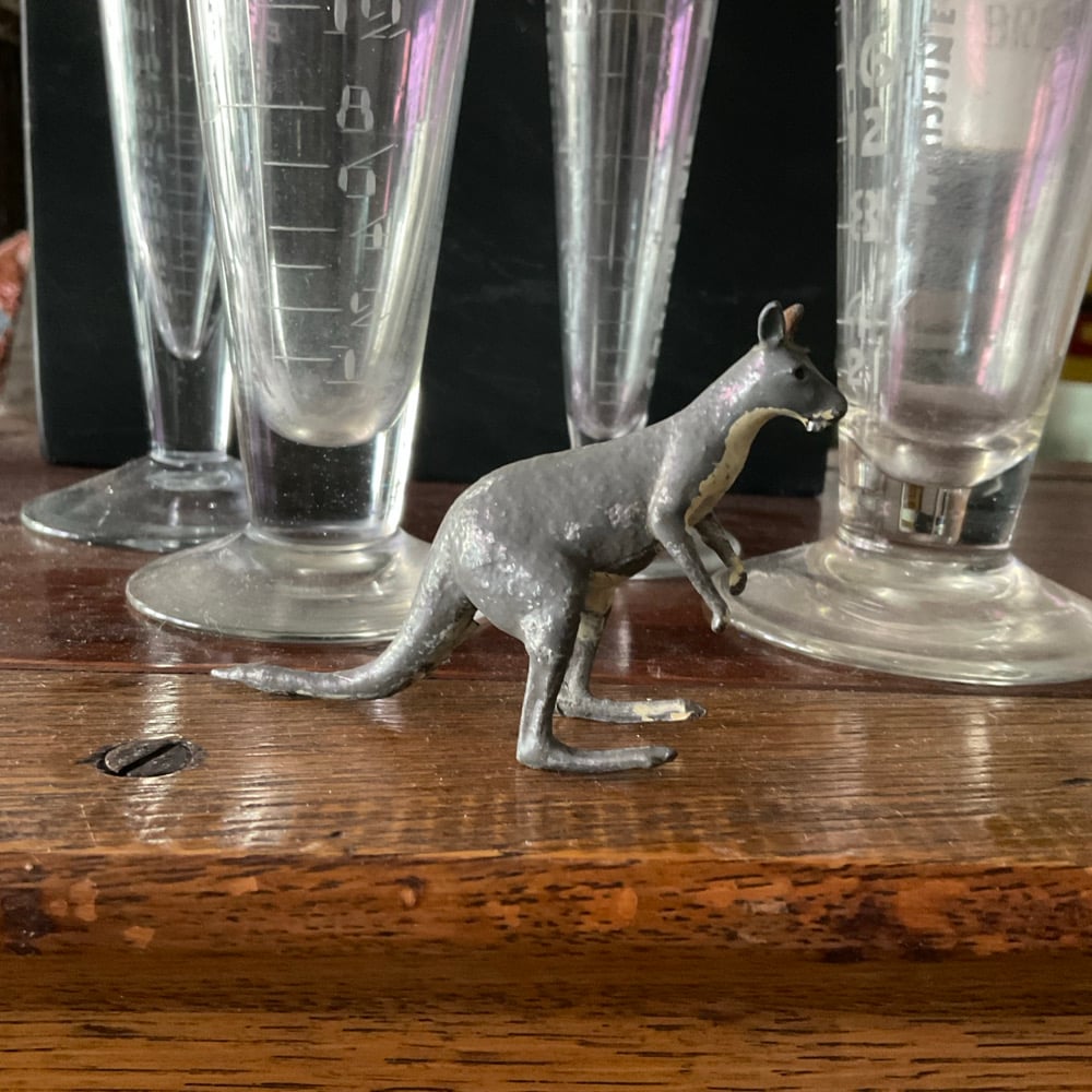 Image of Kangaroo 