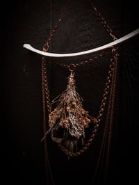 Image 4 of chandelier