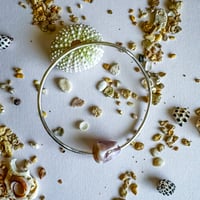 Shell Bangle