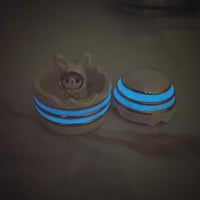Image 9 of Glow in dark bunny cat in an egg jewelry box