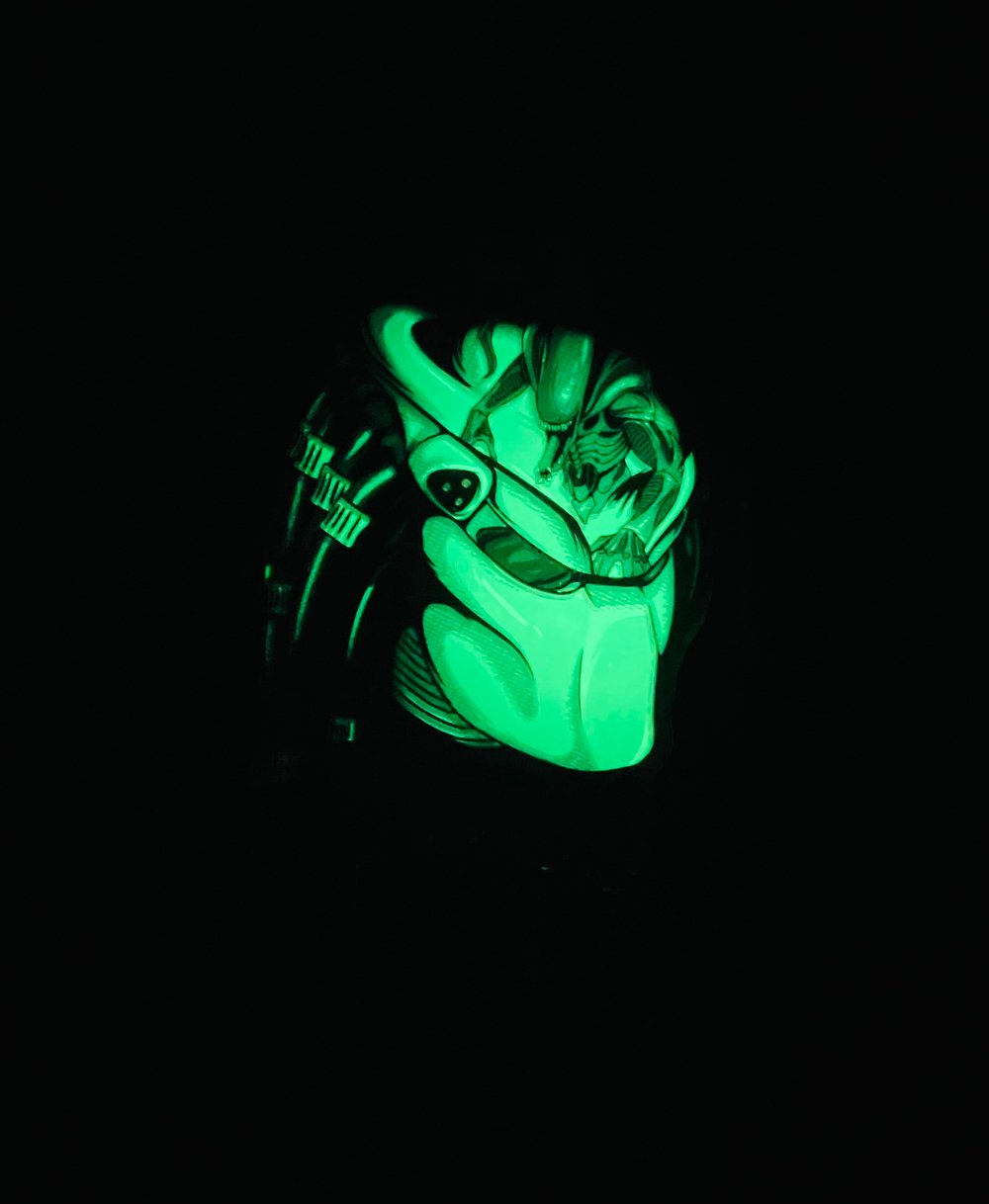 ACRYLIC REFLECTIONS: PREDATOR
