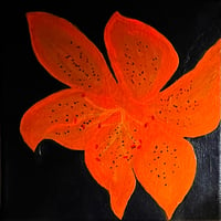 Image 1 of Tiger Lily 
