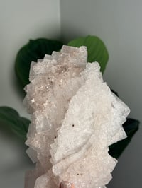 Image 6 of XL WHITE HALITE -MOROCCO- A