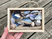 Image 1 of Beach Box #1