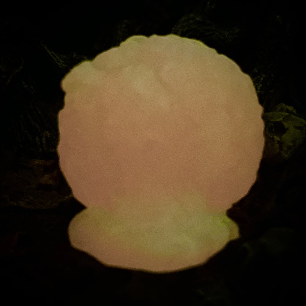 Image of The Gloop PREORDER