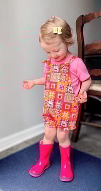 Image 1 of Berry Gardens Overalls (bummies/shorts)
