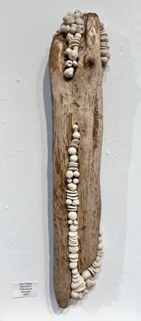 Image 1 of Renewed ll- Cara O'Brien