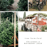 Tree Farm + Ford Mini's ($100 is retainer only)