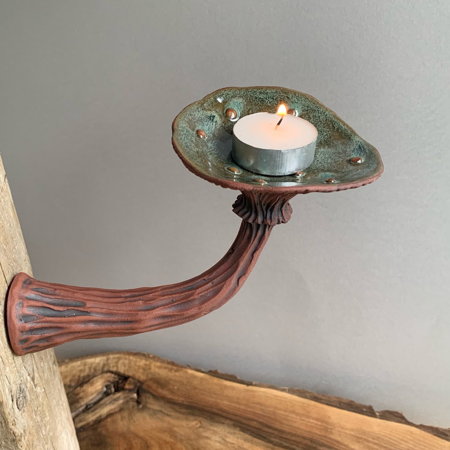 Image of Green Wall Mushroom 