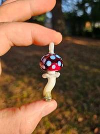 Image 1 of Amanita Muscaria #1
