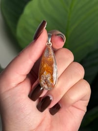 Image 1 of LAGUNA LACE AGATE PENDANT WITH CHAIN M (.925 SS)