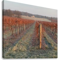 Image 3 of Winter Ready
