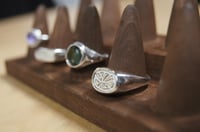 Image 4 of Clementine 