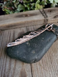 Image 2 of Real Feather (#3)