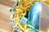 Robin’s Egg