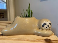 Image 1 of Aloe Vera In Lounging Sloth Pot