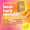 Basic Herb Sampler