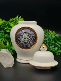 Image 3 of White And Gold URN with Real Preserved Web - 3