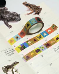 Frogs of the World washi tape