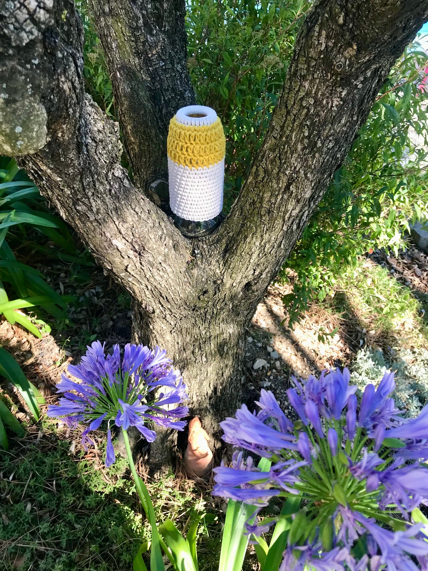 Vase bicolore