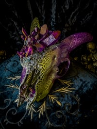 Image 5 of Purple Quartz & Carborundum - Goat Skull 