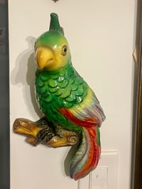 Image 1 of Midcentury Chalkware Parrot