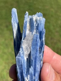 Image 14 of Blue Kyanite & Quartz Specimen #1897