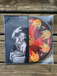 Image 1 of Adobe Homes - Fiesta (Discography) - 12" picture disc