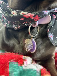 Image 2 of Crystal Collar Cages for Pets 