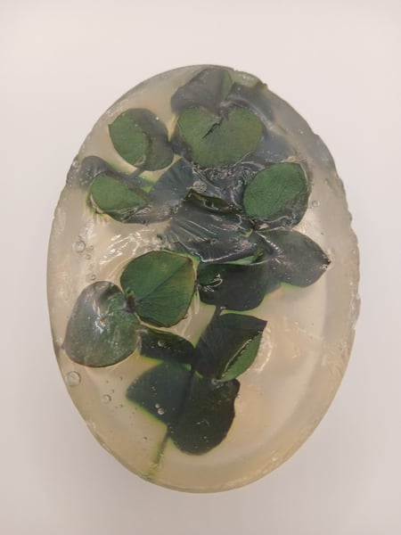 Image of Eucalyptus Massage Fresh Body Bar
