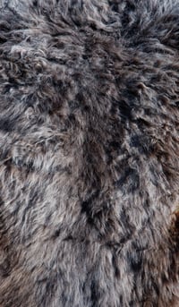 Image 5 of Harting Black Sheepskin #1