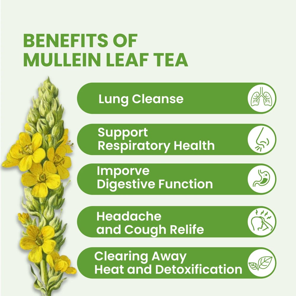 Mullein Leaf Tea Lung Detox 32oz