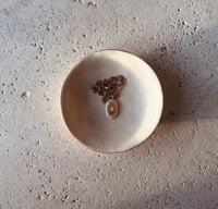 Image 5 of Collana • Sole - Noi